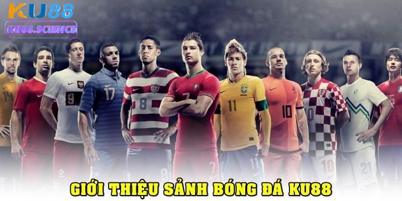 Sảnh thể thao Ku88 cung cấp đa dạng môn thể thao cho hội viên 